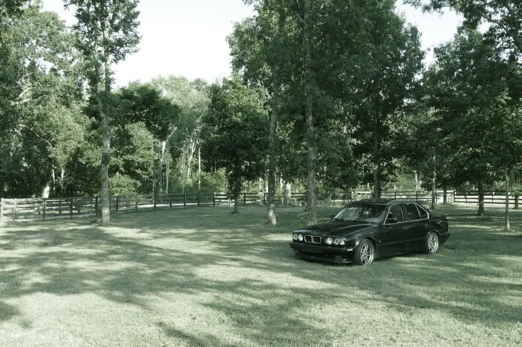 Product Review Revshift M60 Motor Mount